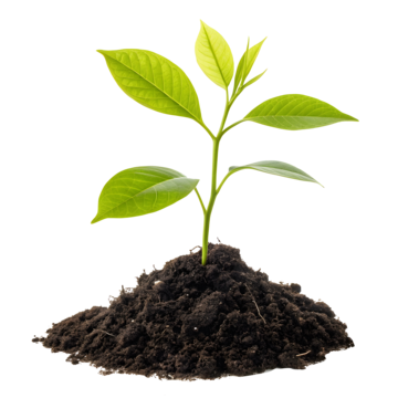 Save Soil